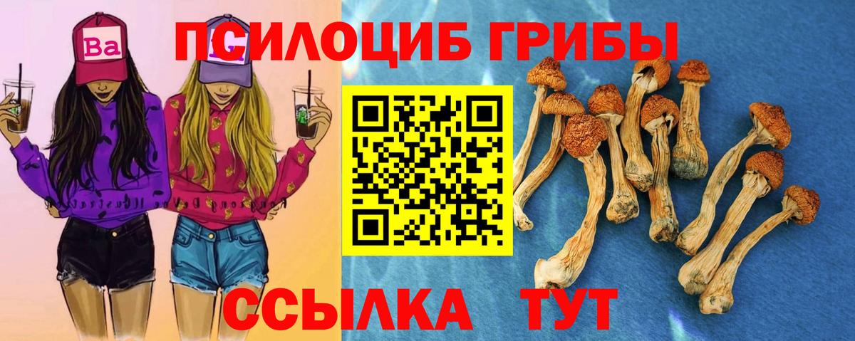 Галлюциногенные грибы GOLDEN TEACHER Великий Устюг