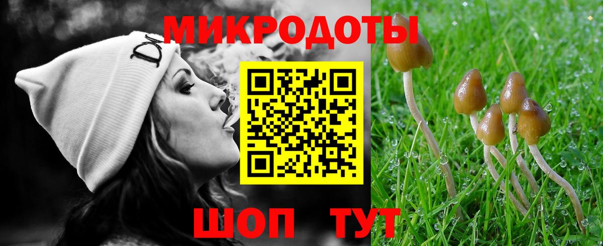 Великий Устюг  Галлюциногенные грибы Psilocybine cubensis  Псилоцибиновые грибы GOLDEN TEACHER  Вход с VPN 